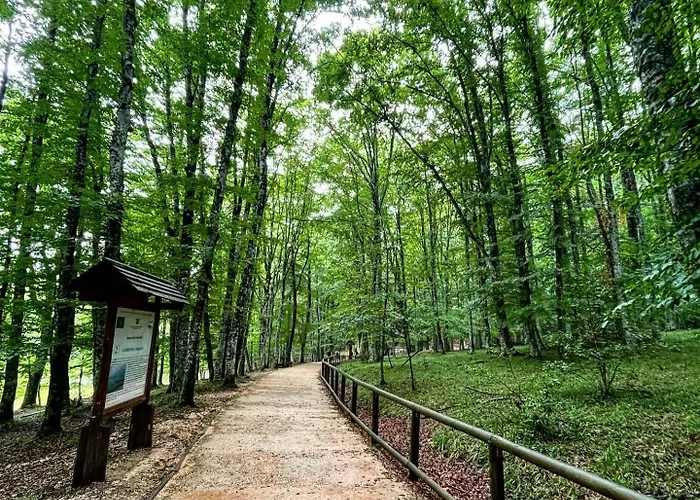 Semesterbostad Arcaroli Borgo Vico 